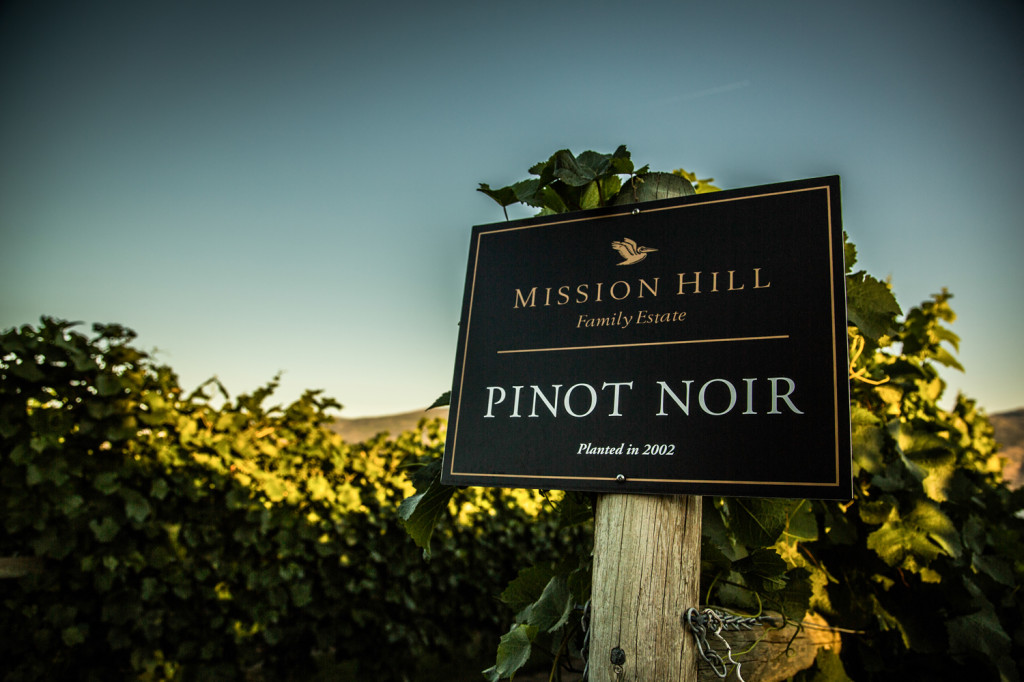 Mountain Lines And Valley Vines: Ski, Wine, Dine, Repeat 3 Mission Hill, Pinot Noir. Are They All Good Years? Photo: Steve Rosset