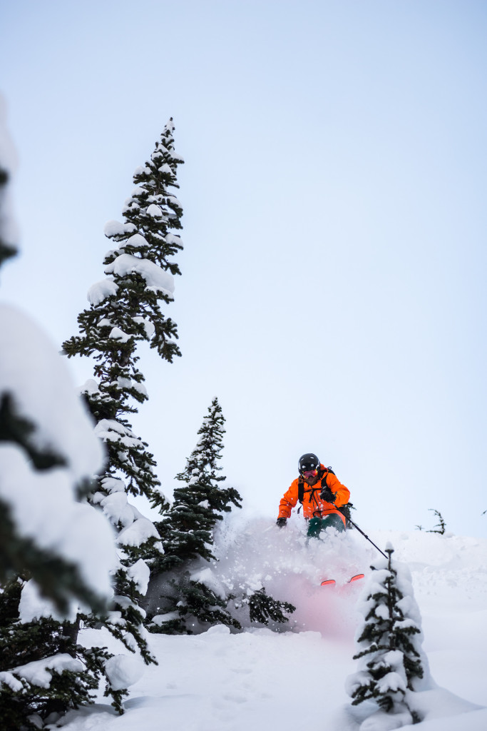 Oh, Hey Buddy! Don't Get Mad, Get Even! Photo: Dave Silver