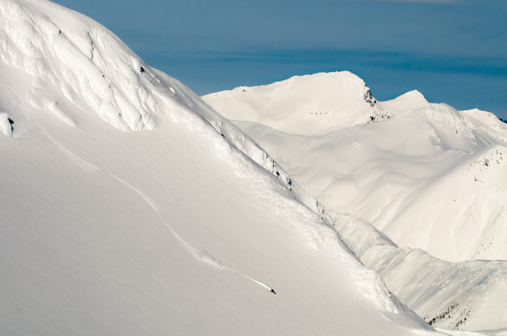 So Is This. Get Out There! Photo: Dave Silver