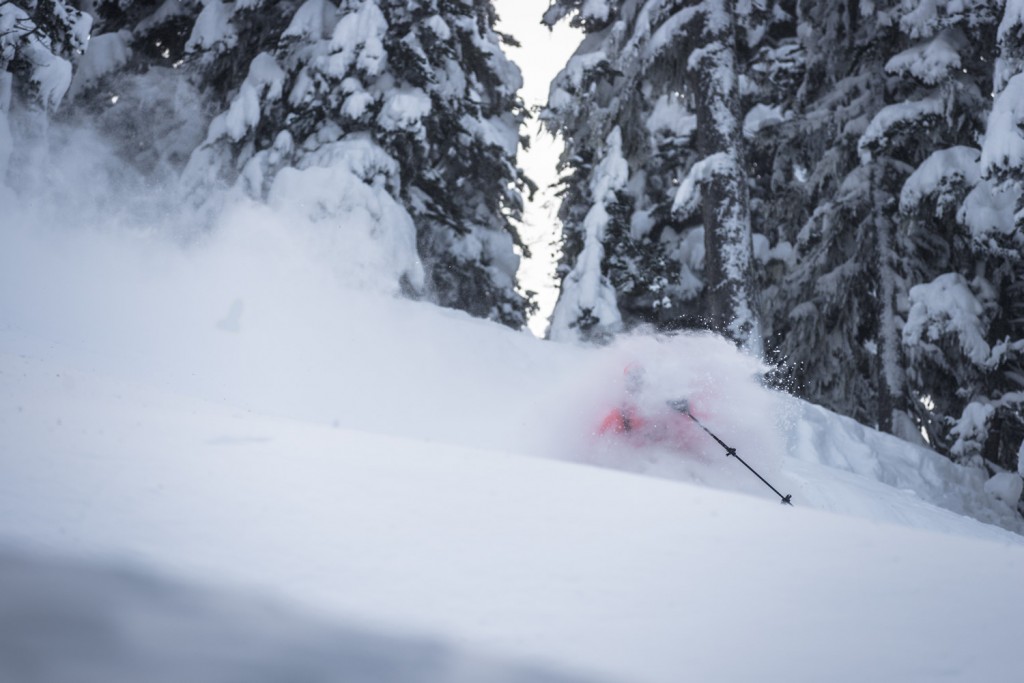 Variety Is The Spice Of Life. Over The Head Tree Skiing At Last Frontier. Photo - Dave Silver