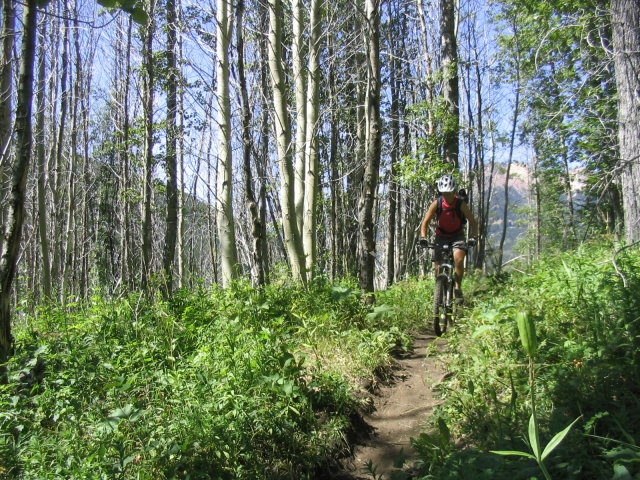 Riding Out From Spruce Lake After An Epic Day In The South Chilcotins.  Photo - D. Mcleish