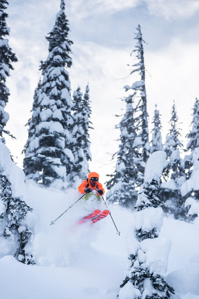 Happiness Looks Like This! Photo: Dave Silver