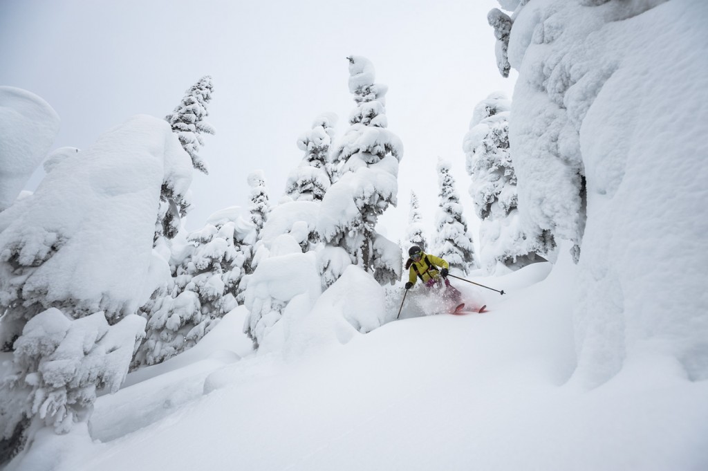 Tips For A Successful Family Vacation 1 Bringin' Up The Rear. Photo: Dave Silver