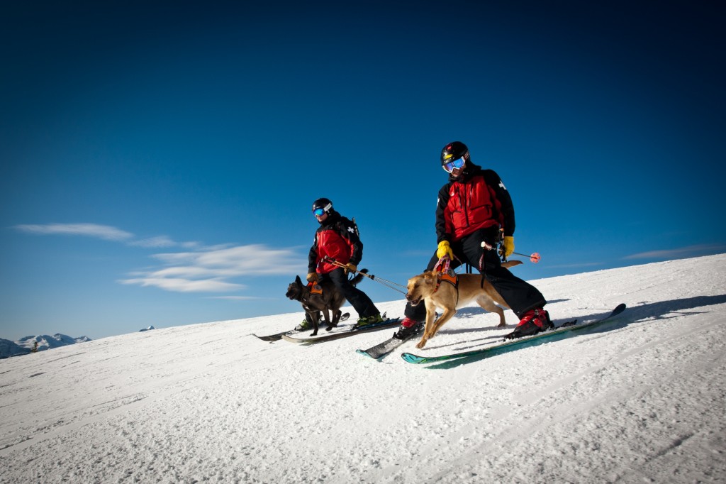 Ready! Set! Go! Photo: John  Antoniuk