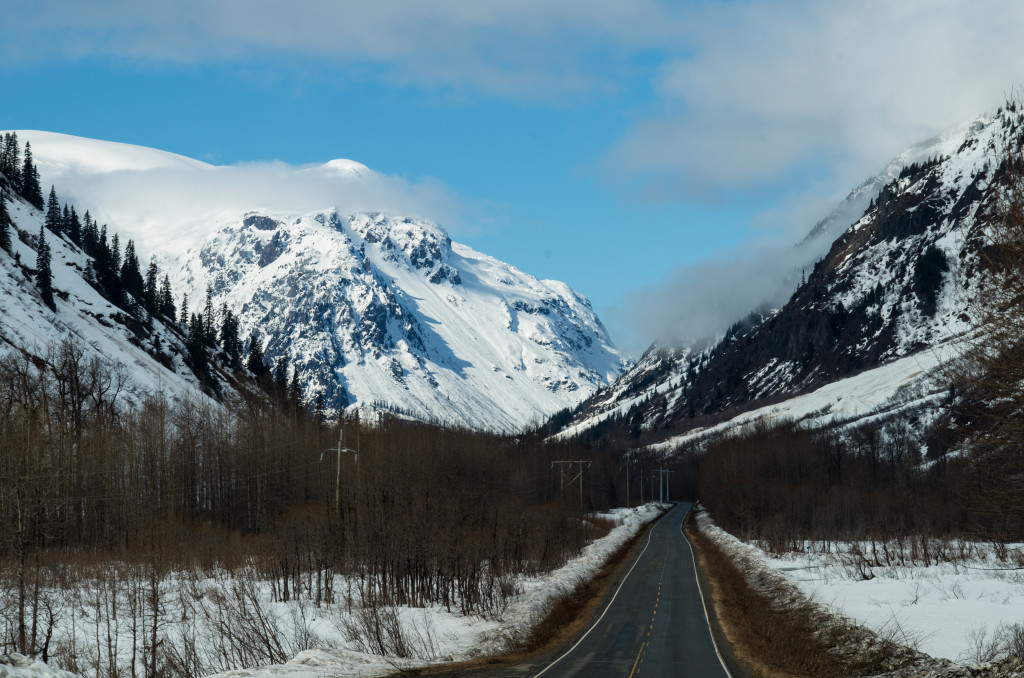 Natural Spectacle On The Road