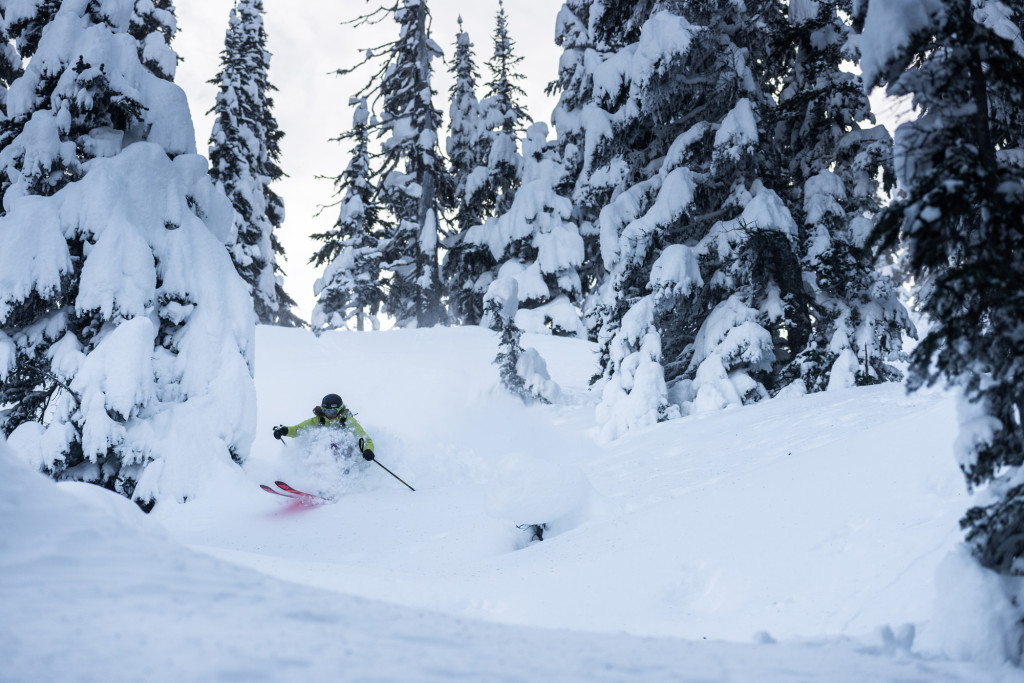 When Is The Best Time Of Year To Go Heliskiing? 4 It'S A Good Day To Crush Hot Laps In The Trees | Photo: Dave Silver