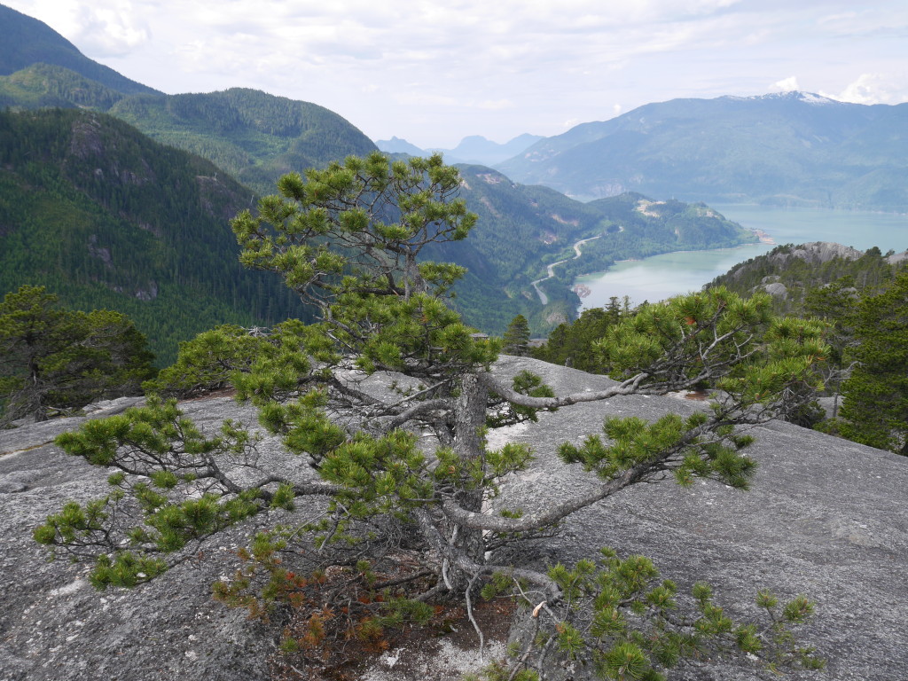 Hiking - The Road To A Still Mind 6 Hiking, I'Ve Discovered, Is More About Being Than Conquering. Photo - D. Mcleish