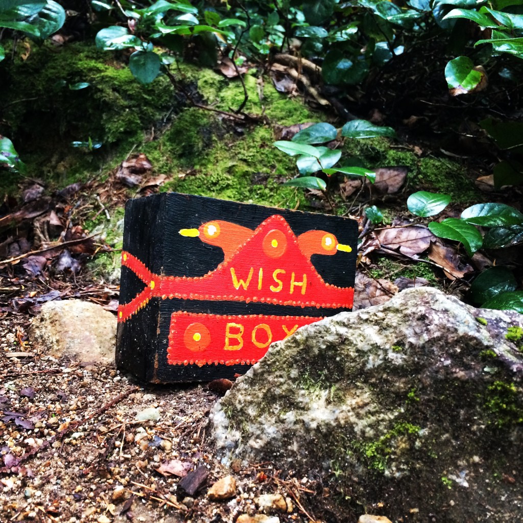 What's In Your Wish Box?  Photo - D'arcy Mcleish