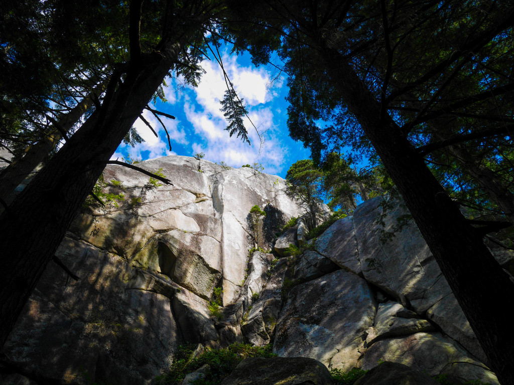 For Whatever Reason, Being On Rope, Climbing On Rock, Mirrors Life's Struggles. That's Why It's Worth It.  Photo - D'arcy Mcleish