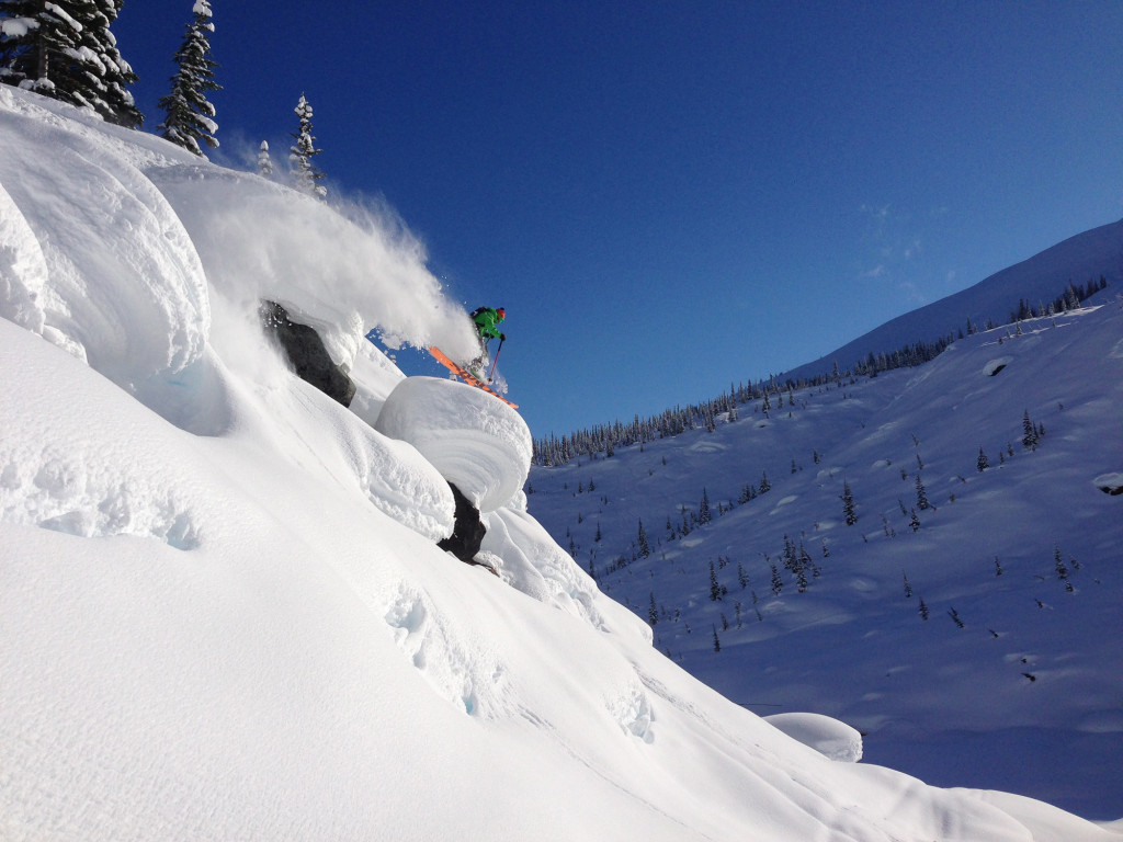 Fun In The Trees! Photo - Mike Watling