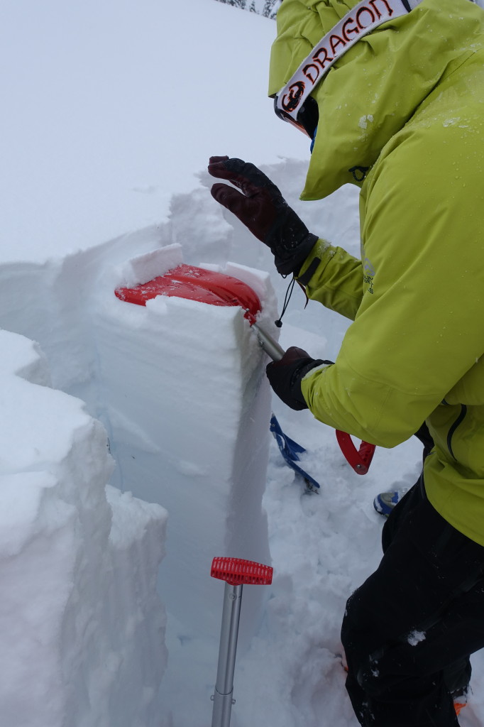 Traveling In Avalanche Terrain - What To Consider 7 Doing A Tap Test To Check Snow Stability And See Where The Weak Layers Are And How Much Force Is Required To Have Them Fail | Photo Liam Harrap