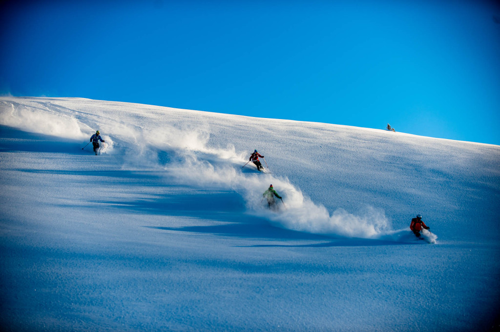 Party Shred! | Reuben Krabbe