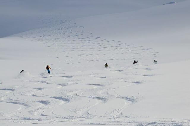 Heliskiing At Ripley Creek