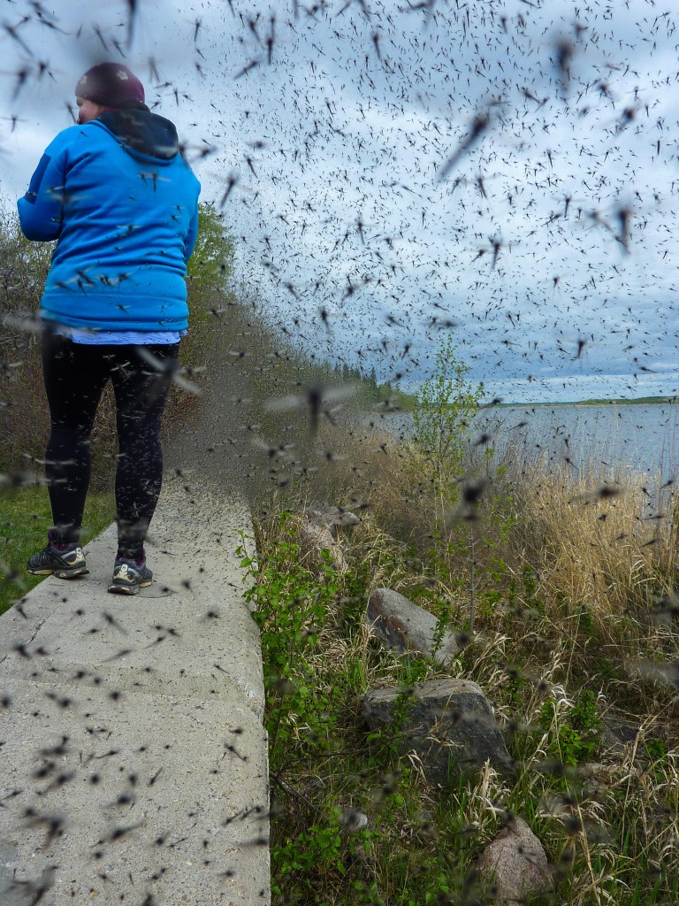 Of Course There're Reasons Why Few People Live There. Bad Bugs Is One Of Them | Photo - Kim House