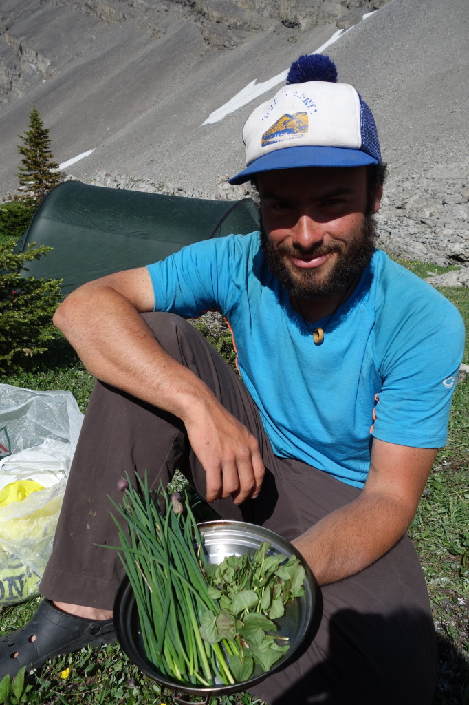 Collected Wild Chive And Mountain Sorrel, Which Is Similar To Spinach | Photo - Liam Harrap