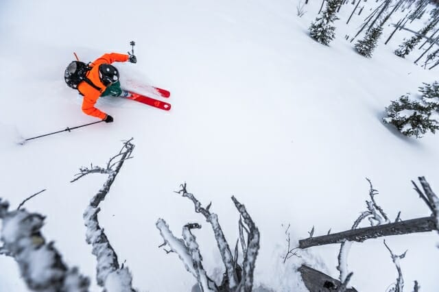 5 Tips For Safer Tree Skiing 1 Tree Skiing Tips