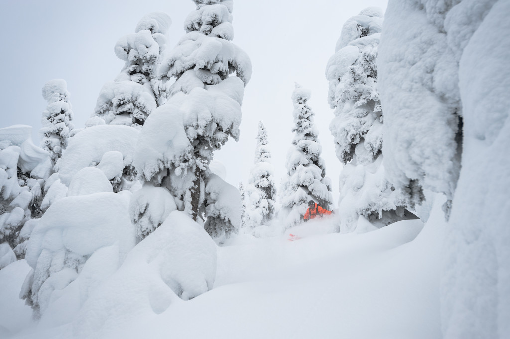 Tree Skiing At Its Finest.  Photo - Dave Silver