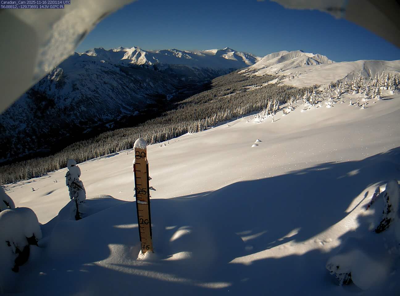 Remote Camera Northern Bc Canada Snow Plot - November 2026